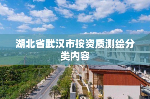 湖北省武漢市按資質測繪分類內容