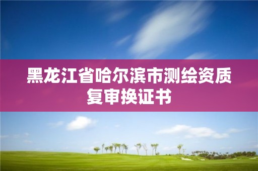 黑龍江省哈爾濱市測繪資質復審換證書