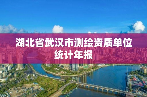 湖北省武漢市測繪資質單位統計年報