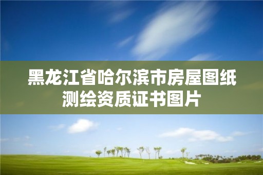 黑龍江省哈爾濱市房屋圖紙測繪資質證書圖片