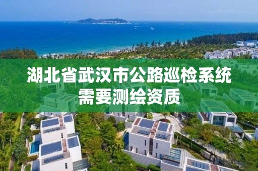 湖北省武漢市公路巡檢系統需要測繪資質