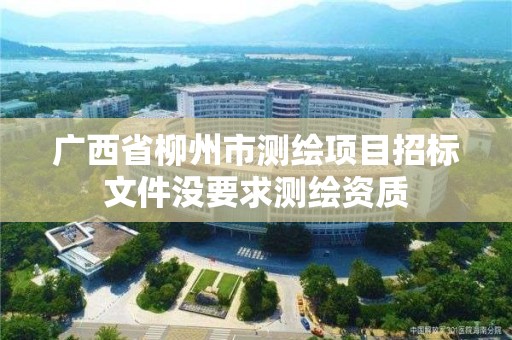 廣西省柳州市測繪項目招標文件沒要求測繪資質