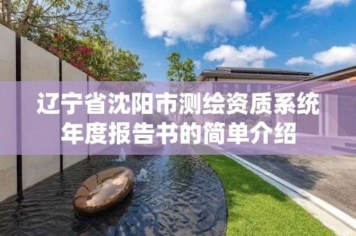 遼寧省沈陽市測繪資質系統年度報告書的簡單介紹