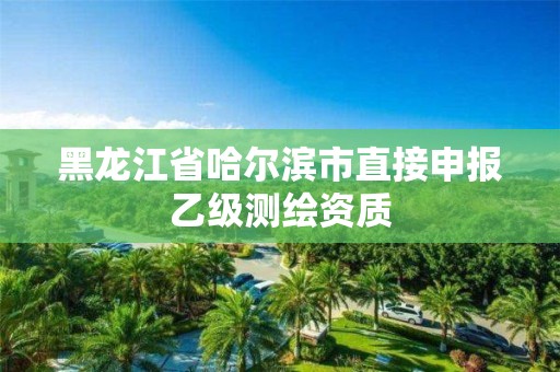 黑龍江省哈爾濱市直接申報乙級測繪資質