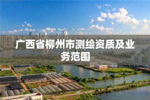 廣西省柳州市測繪資質及業務范圍