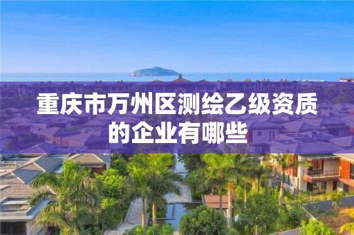 重慶市萬州區(qū)測繪乙級資質(zhì)的企業(yè)有哪些