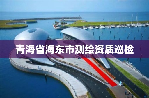 青海省海東市測繪資質巡檢