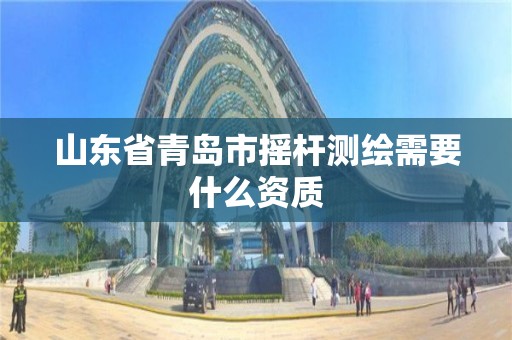 山東省青島市搖桿測繪需要什么資質