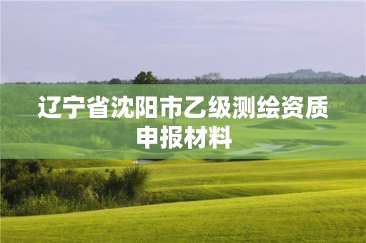 遼寧省沈陽市乙級(jí)測(cè)繪資質(zhì)申報(bào)材料