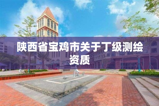 陜西省寶雞市關于丁級測繪資質