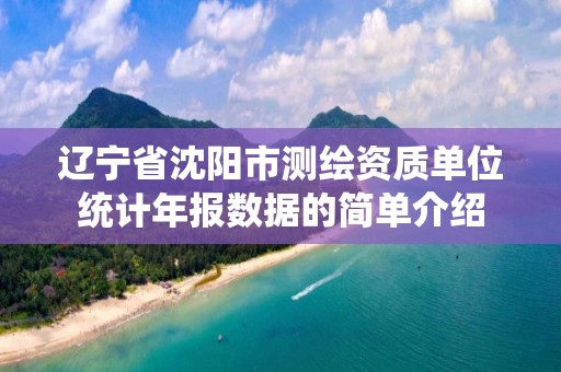 遼寧省沈陽市測繪資質單位統計年報數據的簡單介紹