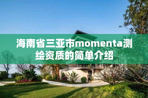 海南省三亞市momenta測繪資質的簡單介紹