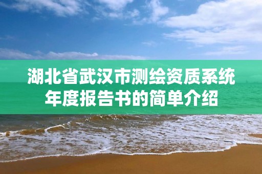 湖北省武漢市測繪資質系統年度報告書的簡單介紹