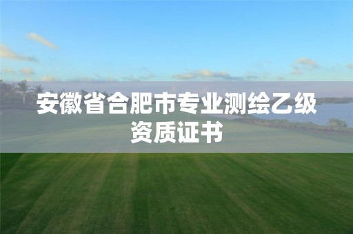 安徽省合肥市專業(yè)測(cè)繪乙級(jí)資質(zhì)證書