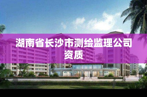 湖南省長沙市測繪監理公司資質