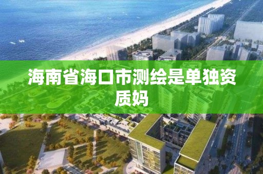 海南省海口市測繪是單獨資質媽