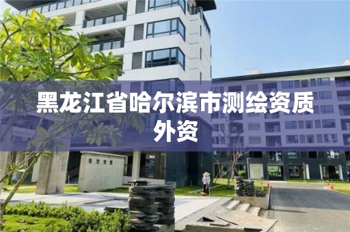 黑龍江省哈爾濱市測繪資質外資