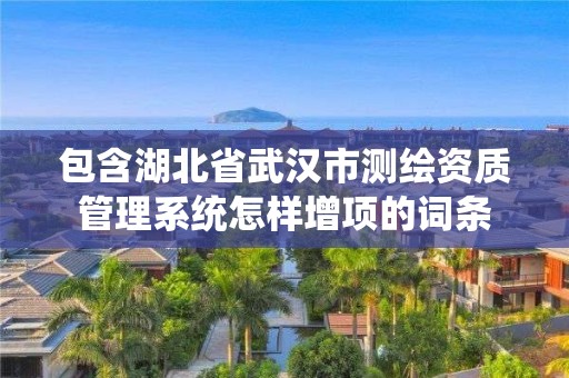 包含湖北省武漢市測繪資質管理系統怎樣增項的詞條