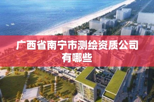 廣西省南寧市測繪資質公司有哪些