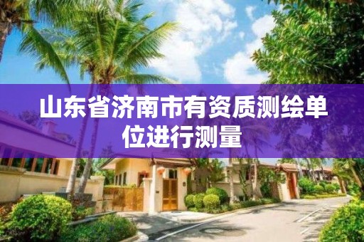 山東省濟南市有資質(zhì)測繪單位進行測量