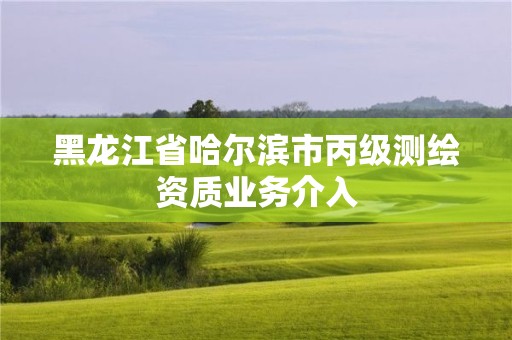 黑龍江省哈爾濱市丙級測繪資質業(yè)務介入