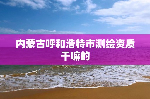 內蒙古呼和浩特市測繪資質干嘛的