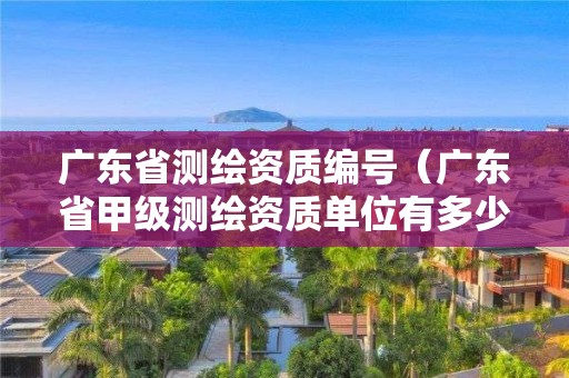 廣東省測(cè)繪資質(zhì)編號(hào)（廣東省甲級(jí)測(cè)繪資質(zhì)單位有多少）