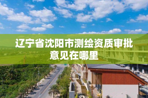 遼寧省沈陽市測繪資質審批意見在哪里