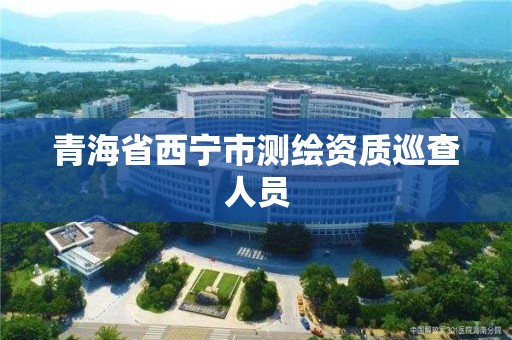 青海省西寧市測繪資質巡查人員