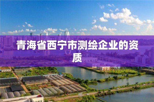 青海省西寧市測繪企業的資質