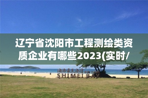 遼寧省沈陽市工程測繪類資質企業有哪些2023(實時/更新中)