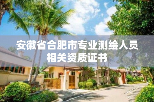 安徽省合肥市專業測繪人員相關資質證書