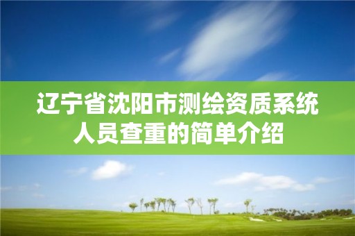 遼寧省沈陽市測繪資質系統人員查重的簡單介紹