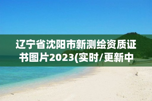 遼寧省沈陽(yáng)市新測(cè)繪資質(zhì)證書(shū)圖片2023(實(shí)時(shí)/更新中)