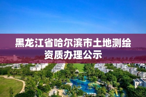 黑龍江省哈爾濱市土地測繪資質(zhì)辦理公示