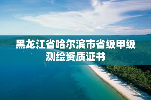 黑龍江省哈爾濱市省級(jí)甲級(jí)測繪資質(zhì)證書