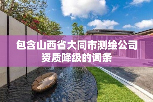 包含山西省大同市測繪公司資質降級的詞條