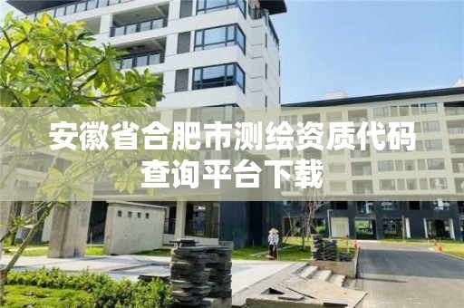 安徽省合肥市測繪資質代碼查詢平臺下載