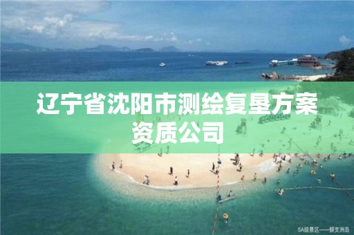 遼寧省沈陽市測繪復墾方案資質公司