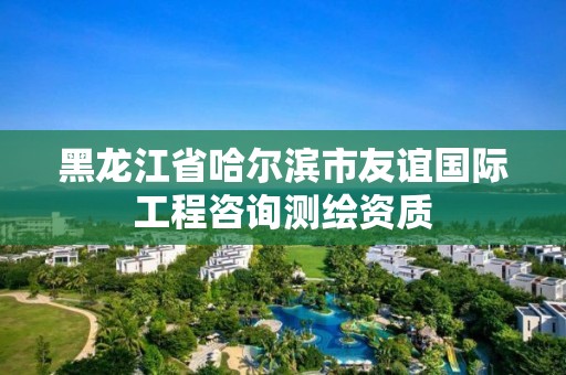 黑龍江省哈爾濱市友誼國際工程咨詢測繪資質(zhì)