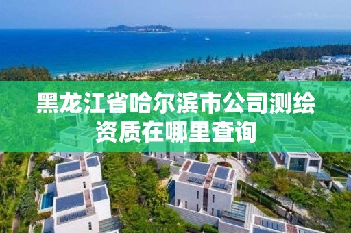 黑龍江省哈爾濱市公司測繪資質(zhì)在哪里查詢