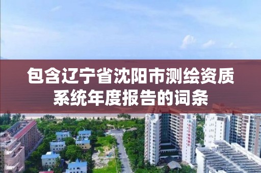 包含遼寧省沈陽市測繪資質系統年度報告的詞條