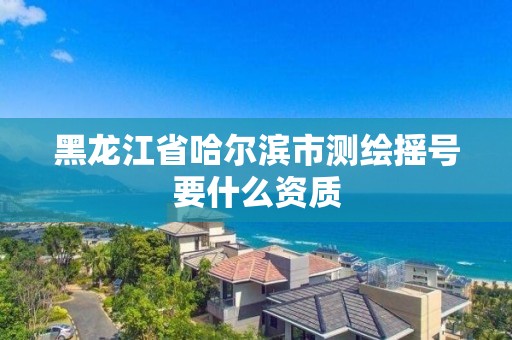 黑龍江省哈爾濱市測繪搖號要什么資質