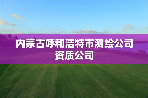 內蒙古呼和浩特市測繪公司資質公司