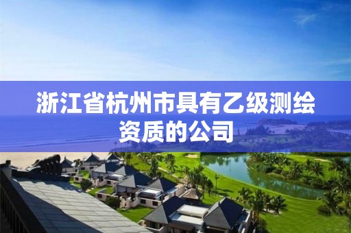 浙江省杭州市具有乙級測繪資質的公司