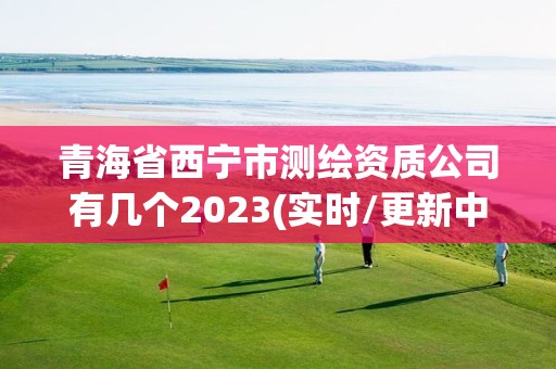 青海省西寧市測繪資質公司有幾個2023(實時/更新中)