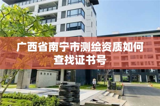 廣西省南寧市測繪資質如何查找證書號