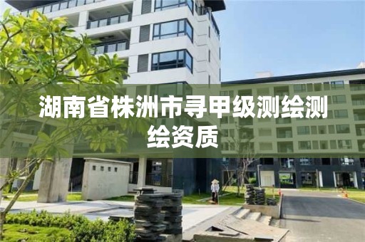 湖南省株洲市尋甲級測繪測繪資質