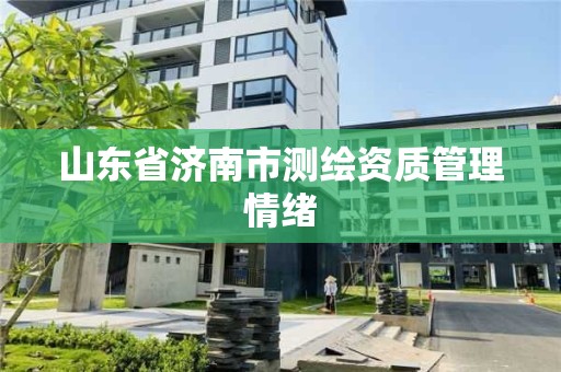 山東省濟南市測繪資質管理情緒