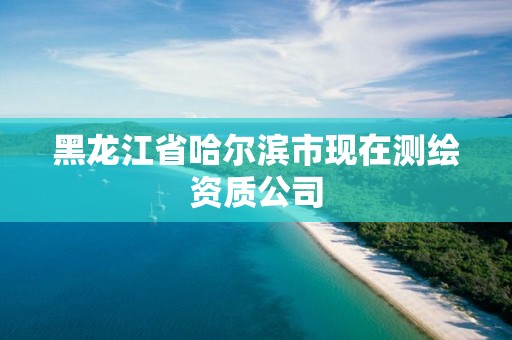 黑龍江省哈爾濱市現在測繪資質公司